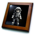 3dRose Space Kitten in Astronaut Suit Exploring New Worlds - Framed Tiles (ft-385458)