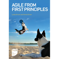 Agile from First Principles - Paperback