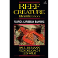 Reef Creature Identification: Florida Caribbean Bahamas - Paperback