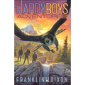 As the Falcon Flies - Hardcover