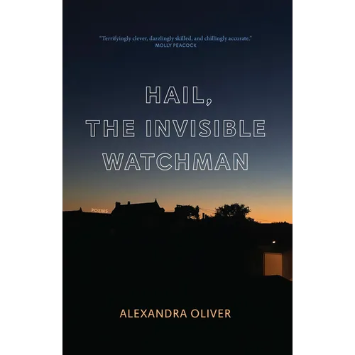 Hail, the Invisible Watchman - Paperback
