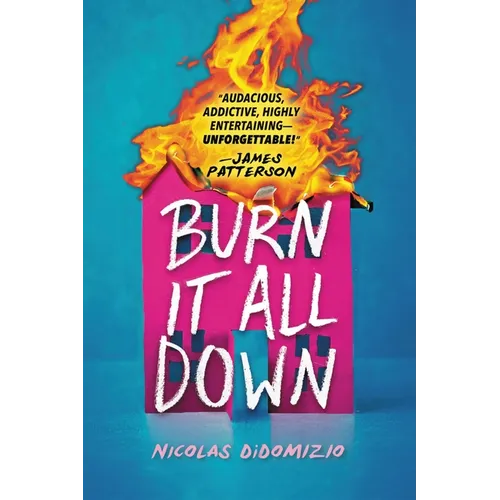 Burn It All Down - Hardcover