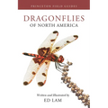 Dragonflies of North America - Paperback