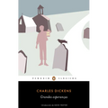 Grandes Esperanzas / Great Expectation - Paperback