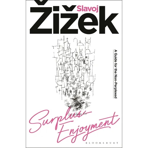 Surplus-Enjoyment: A Guide for the Non-Perplexed - Hardcover
