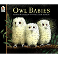 Owl Babies - Paperback