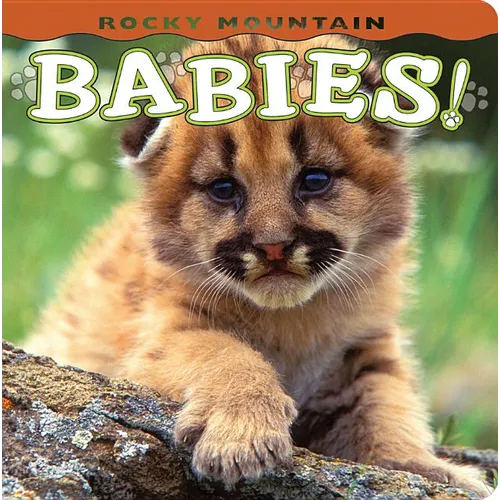 Rocky Mountain Babies! - Board Book