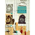 Peter Greenaway: The Falls - Paperback