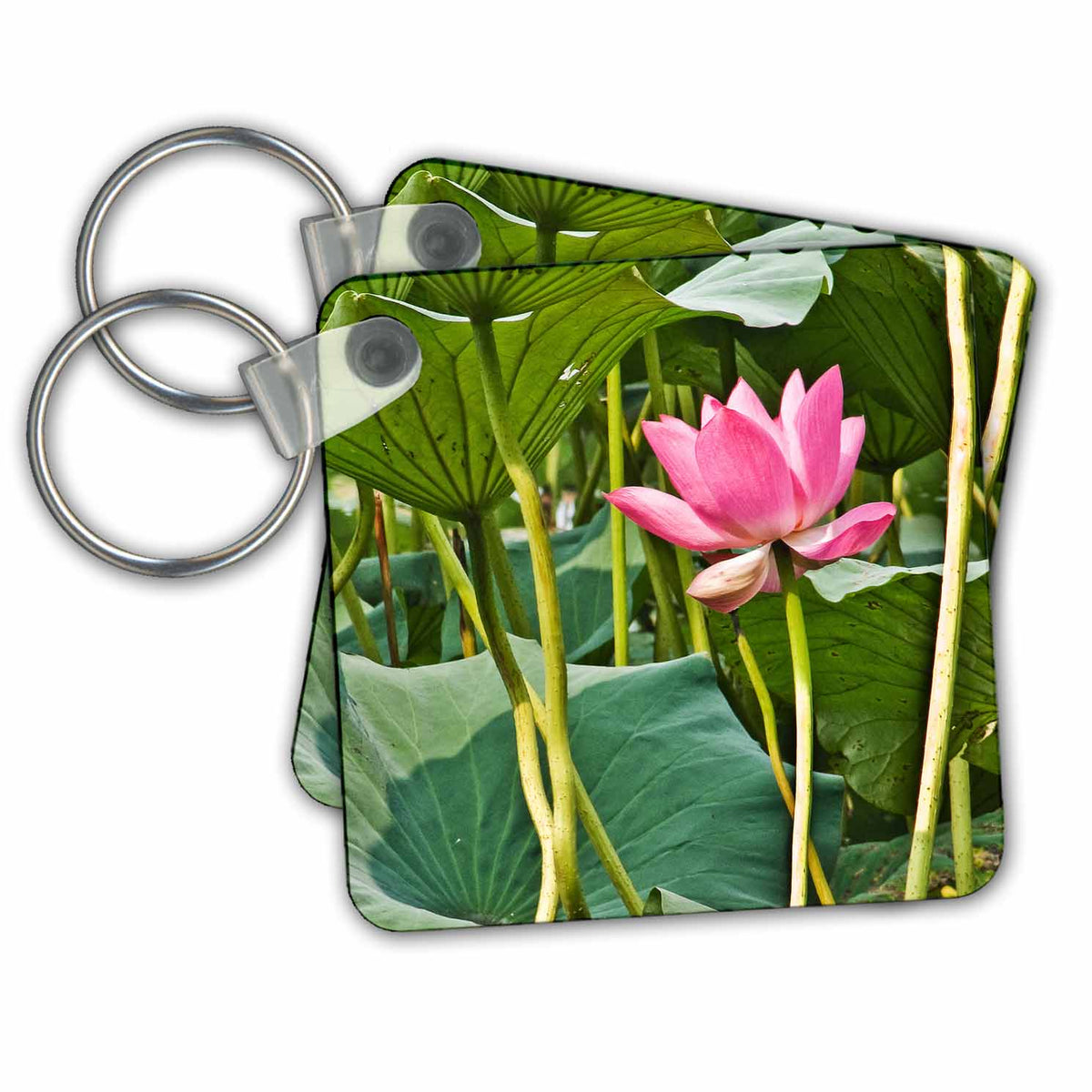 Key Chain - Pink Lotus Blossom Photography Flower