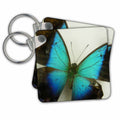 Key Chain - Florida Butterfly Nature n Animals