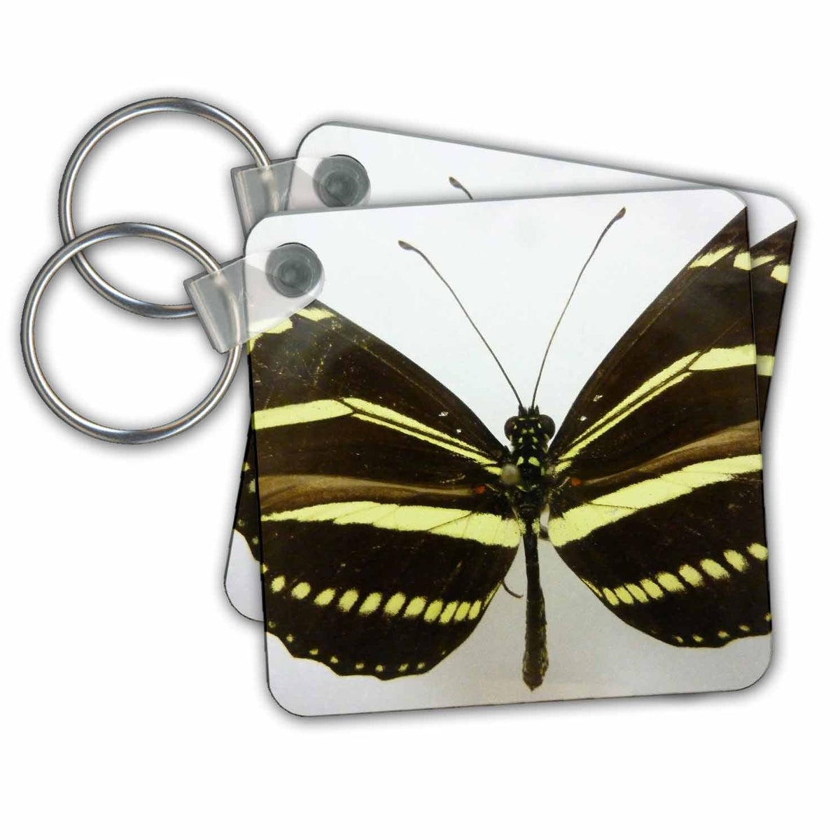 Key Chain - State Butterfly Pretty Nature n Animals