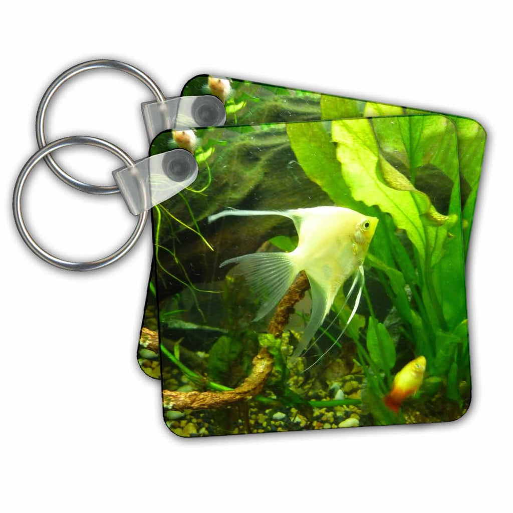 3dRose Key Chains Fish In Green (kc-13984-1)