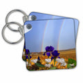 Key Chain - Rainbows and Irises Jr Rainbows