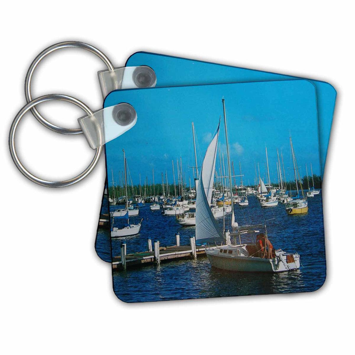 3dRose Key Chains Marina Coconut Grove (kc-14525-1)
