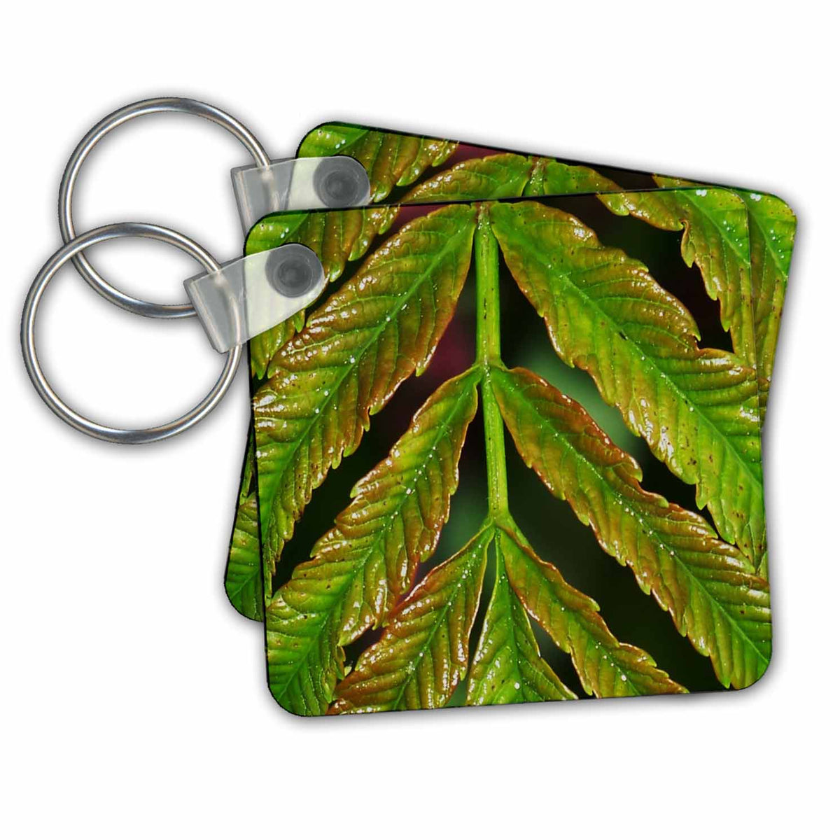 3dRose Key Chains Green Leaves (kc-14772-1)