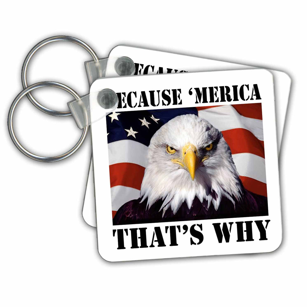 3dRose Key Chains Because ‘Merica that’s why (kc-149767-1)