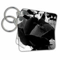 3dRose Key Chains A computer enhanced black rose (kc-150213-1)