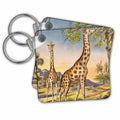 Key Chain - Two Giraffes TNMPastPerfect Animals