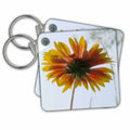 Key Chain - Orange and Yellow Sunflower Photography