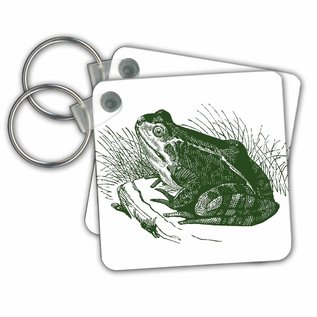 3dRose Key Chains Green Frog (kc-186785-1)