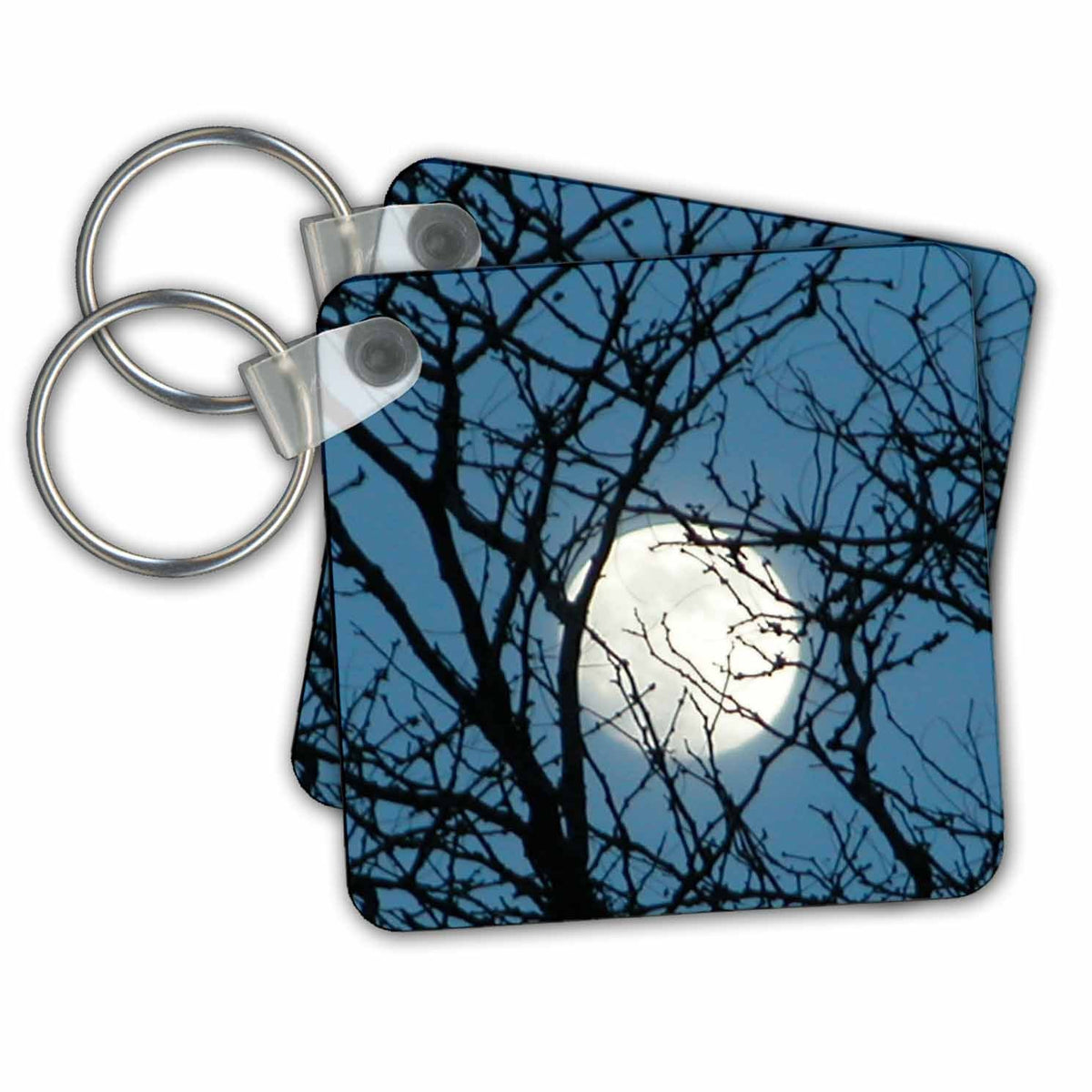 3dRose Key Chains The Moon Though a Tree (kc-18718-1)