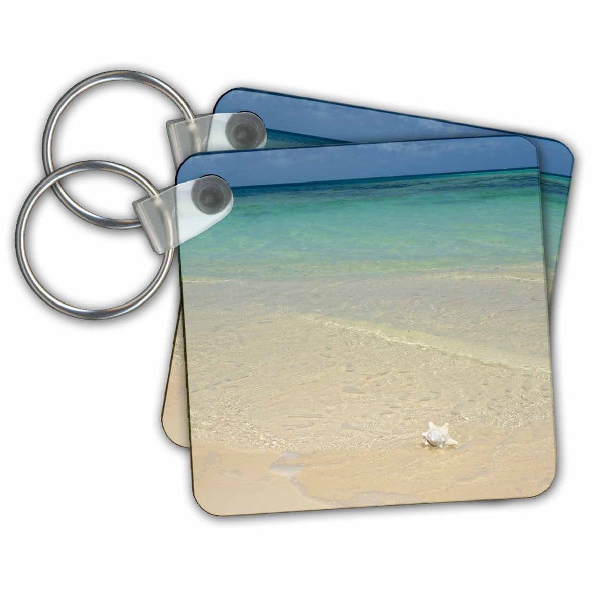 3dRose Key Chains Caribbean, BVI, Anegada. Conch shell on the beach at Bones Bight. (kc-207233-1)