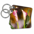 3dRose Key Chains Close-up of Calla Lily (kc-207310-1)