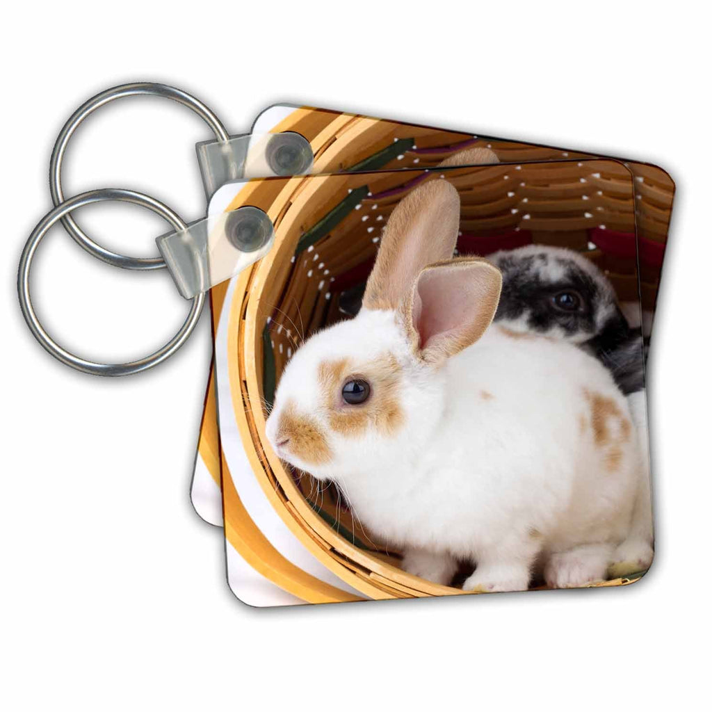 3dRose Key Chains Young Rex rabbits in Easter basket. (kc-207313-1)