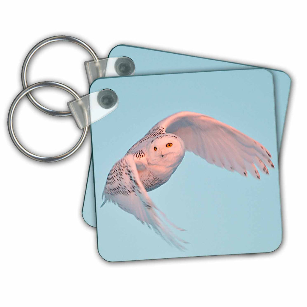 Key Chain - Snowy Owl in flight. Owls