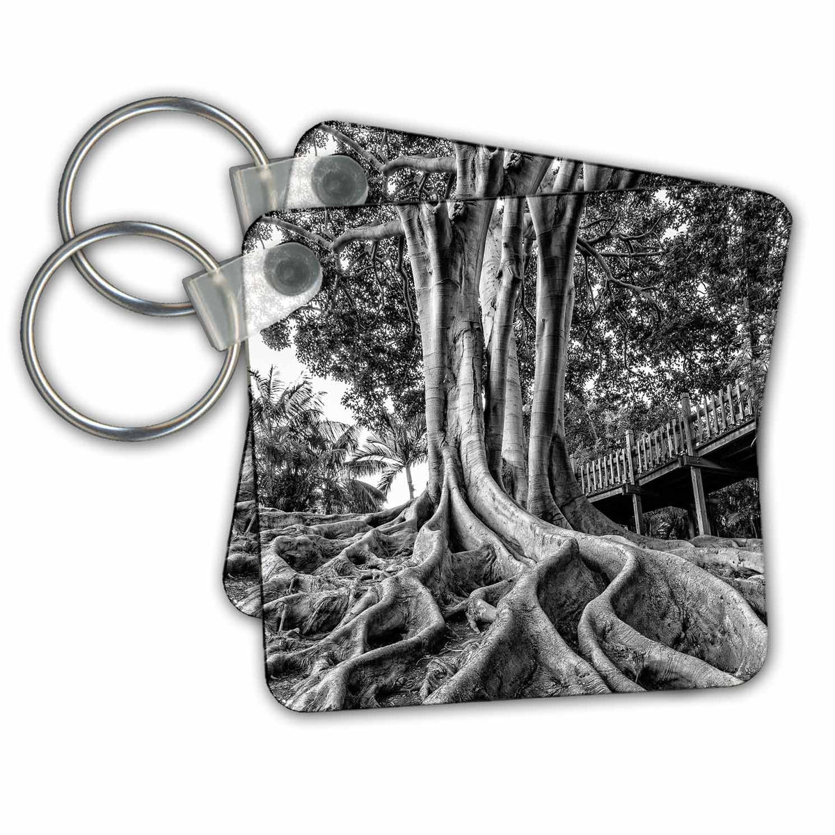 3dRose Key Chains Massive rubber tree roots at Balboa Park in San Diego, CA (kc-207593-1)