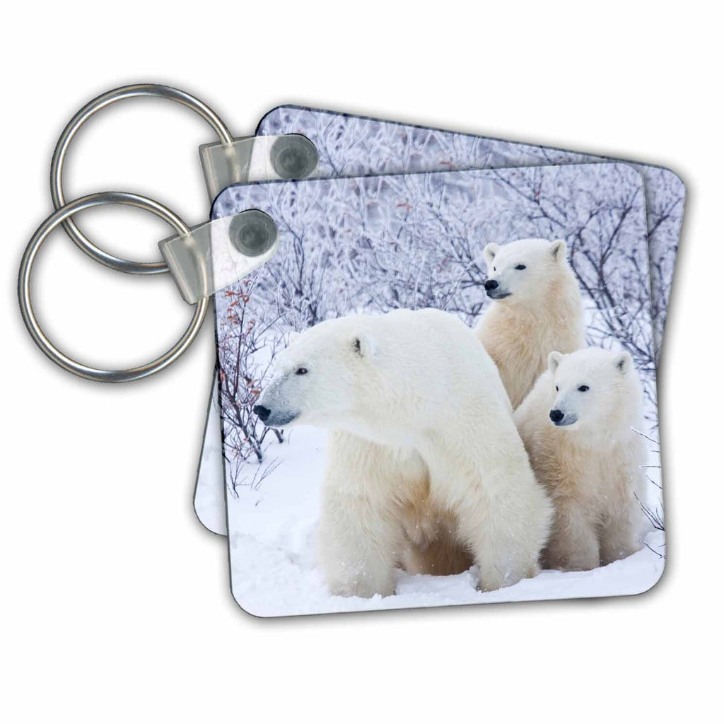Key Chain - Polar Bears and Two cubs Bears