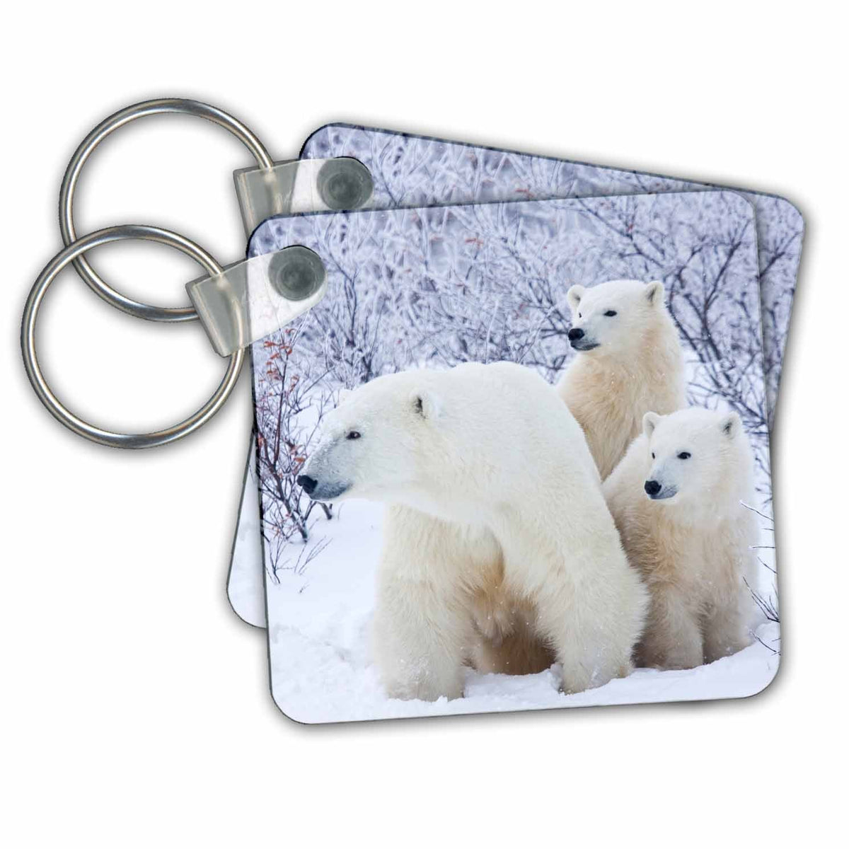 Key Chain - Polar Bears and Two cubs Bears