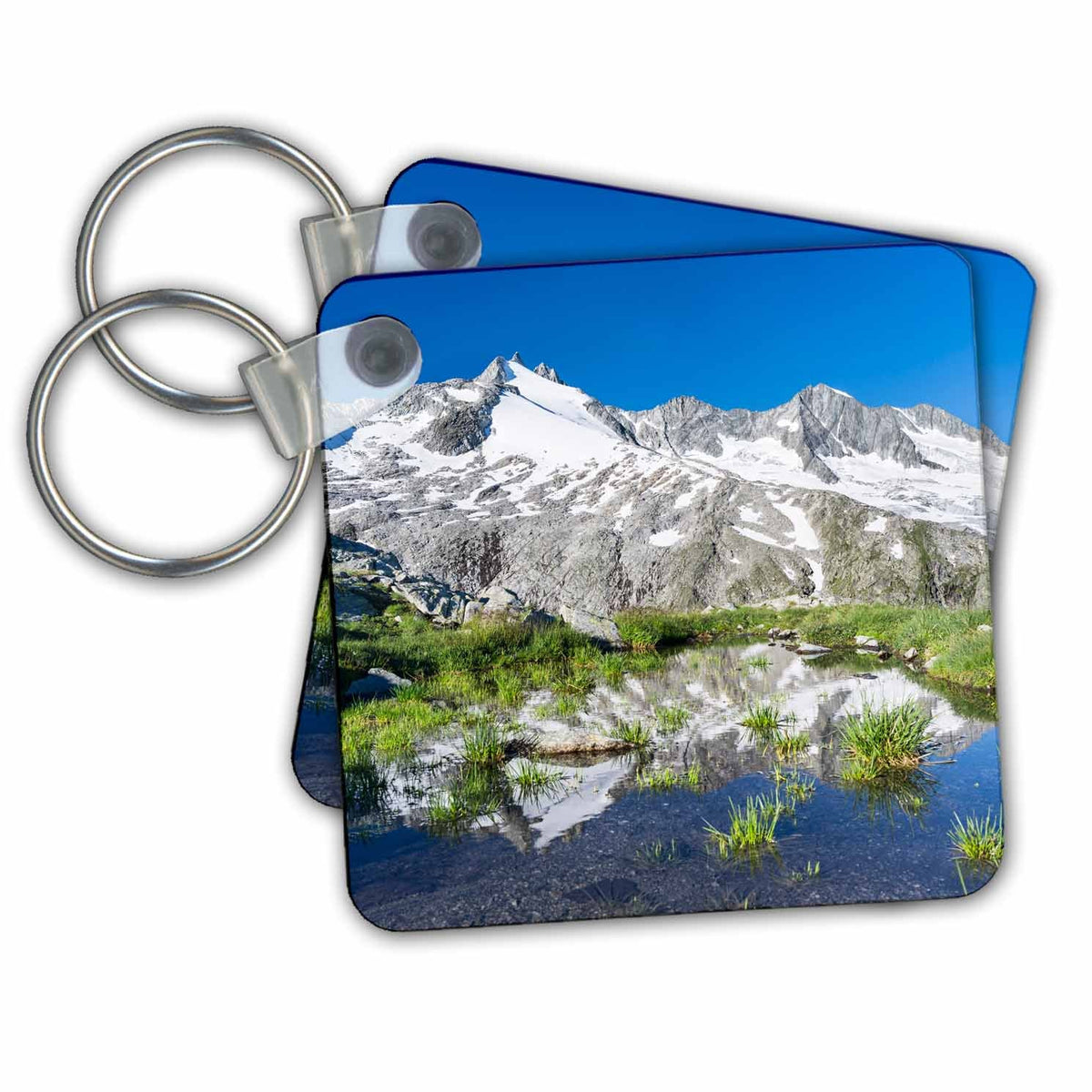Key Chain - Zillertal Alps - Reichenspitz mountain range Mountains