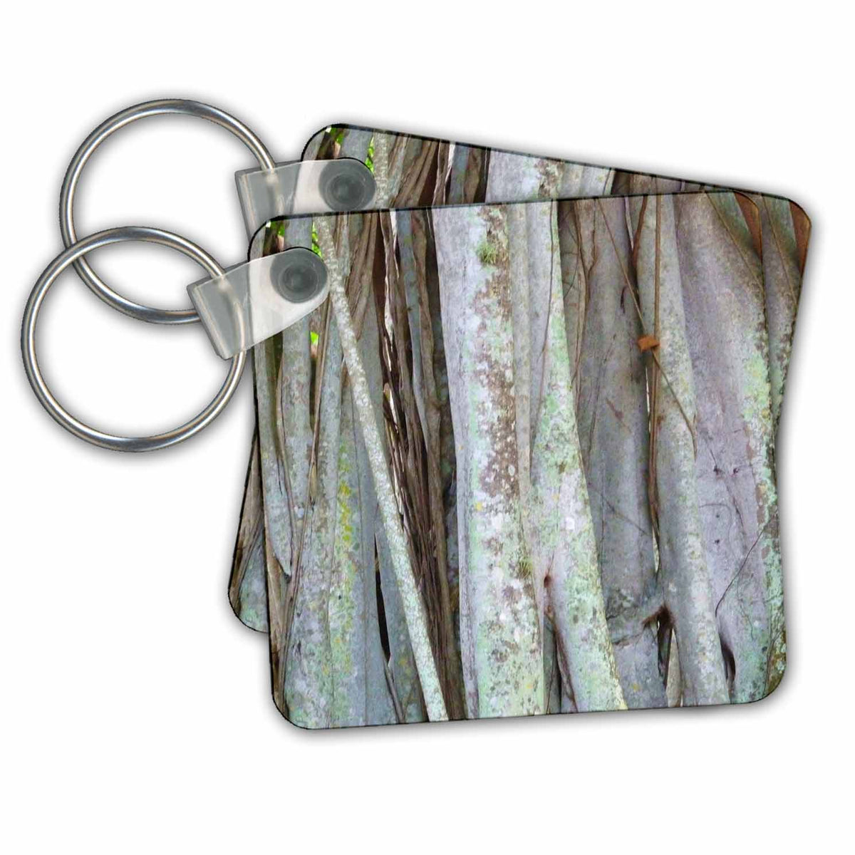 Key Chain - Banyan Trunk Trees