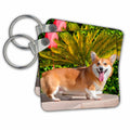 Key Chain - Pembroke Welsh Corgi standing poolside, MR and PR, Dogs