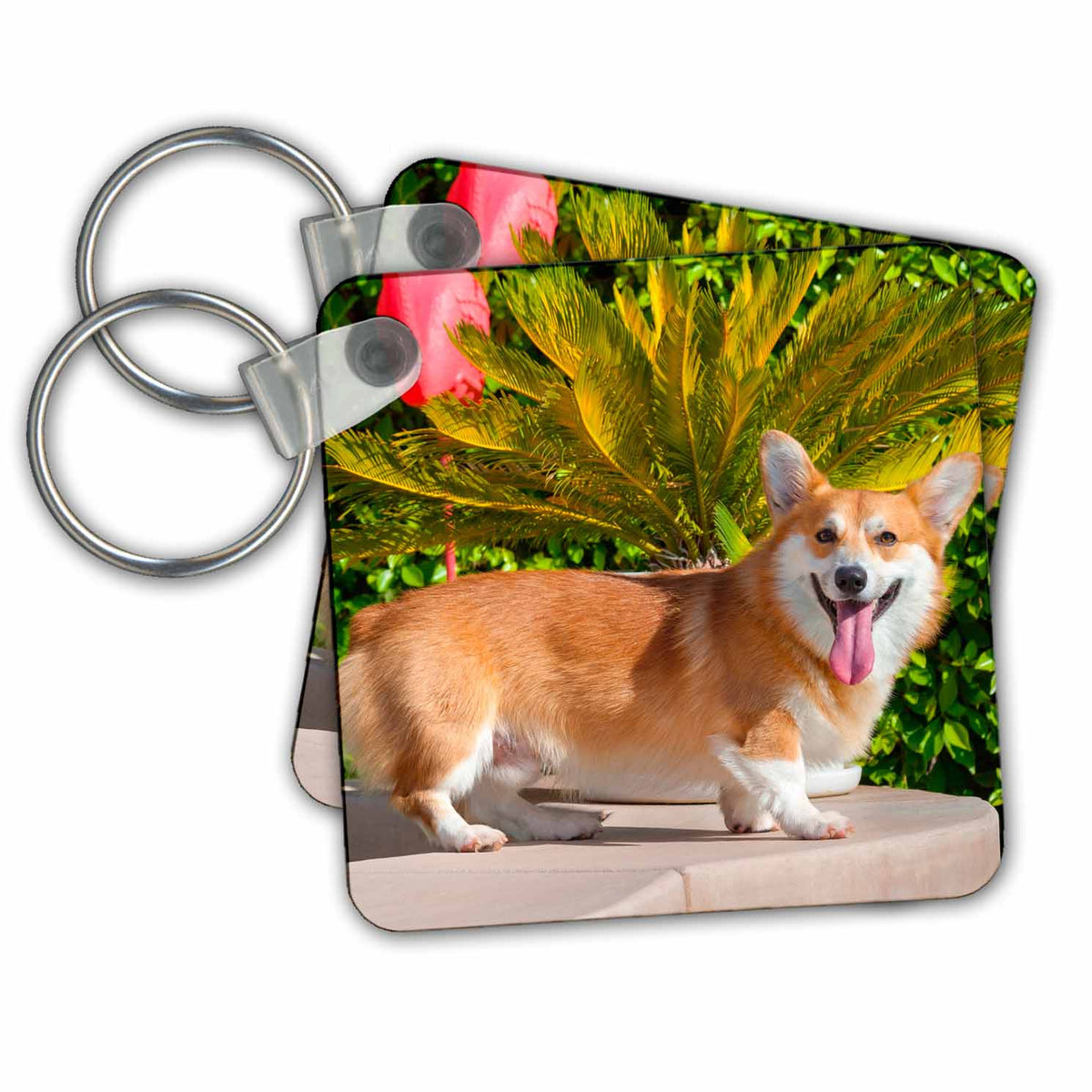 Key Chain - Pembroke Welsh Corgi standing poolside, MR and PR, Dogs
