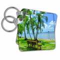 Key Chain - Henry Fords Riverview Water Landscape