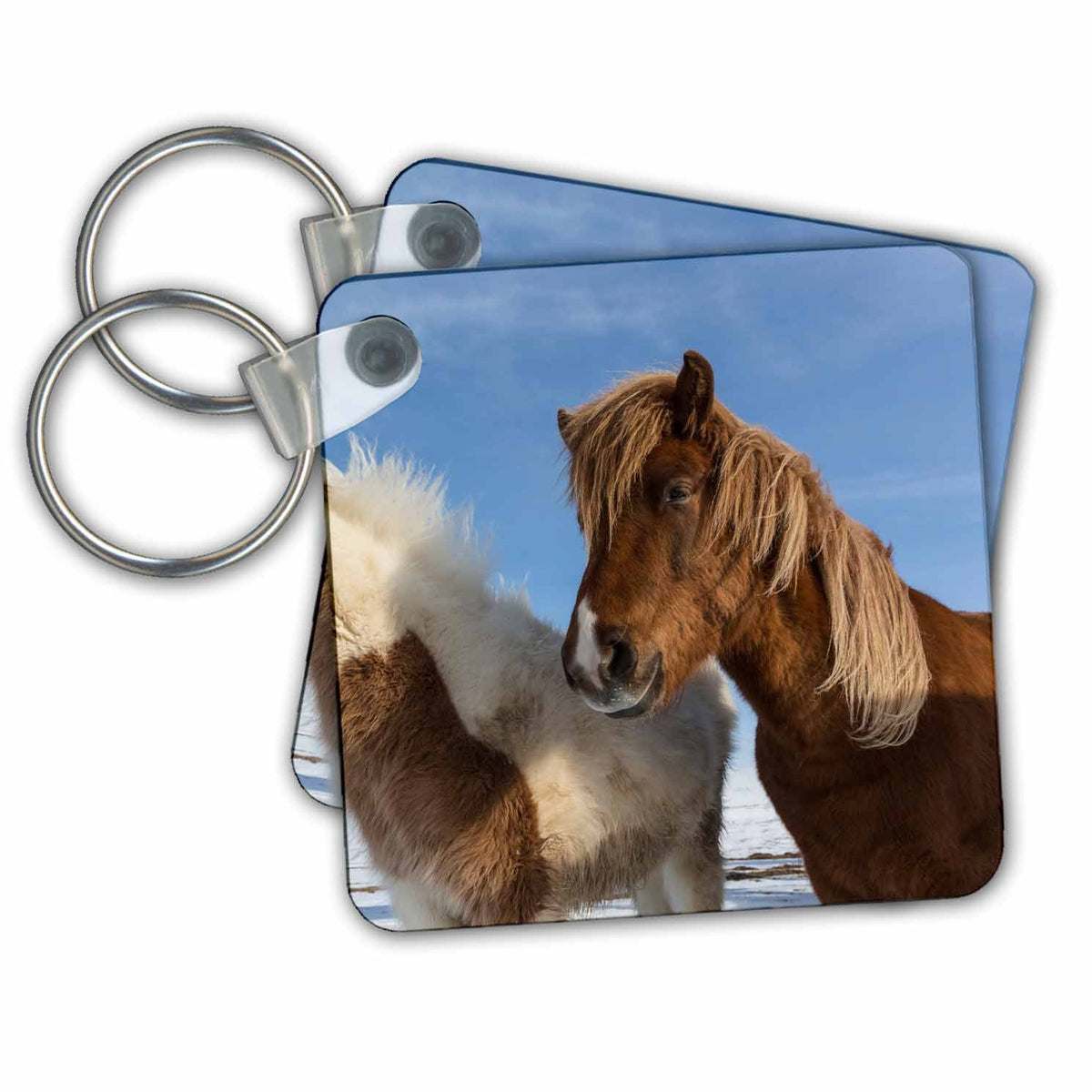 3dRose Key Chains Iceland. Icelandic horses. (kc-209915-1)