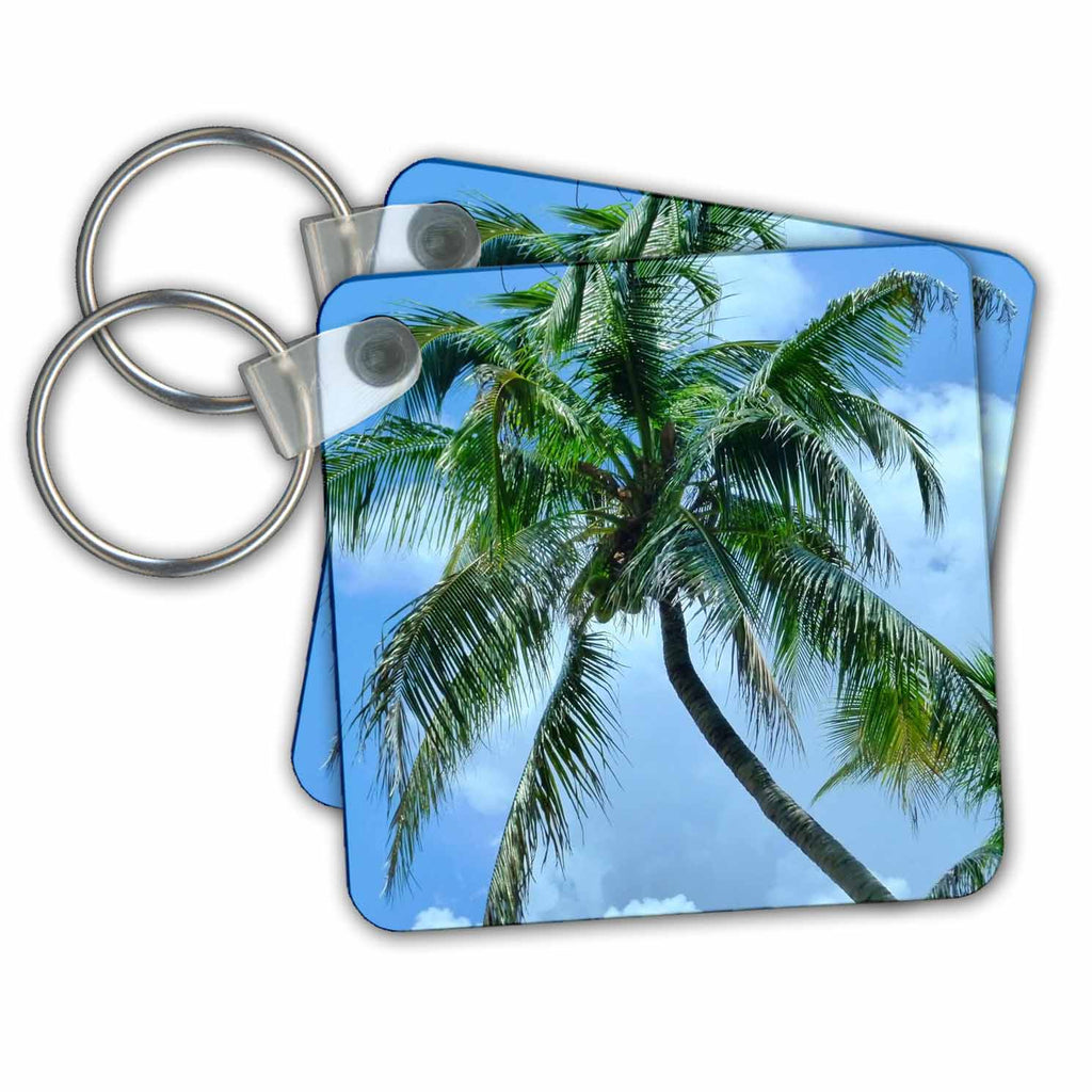 3dRose Key Chains Palm Perfect (kc-20994-1)