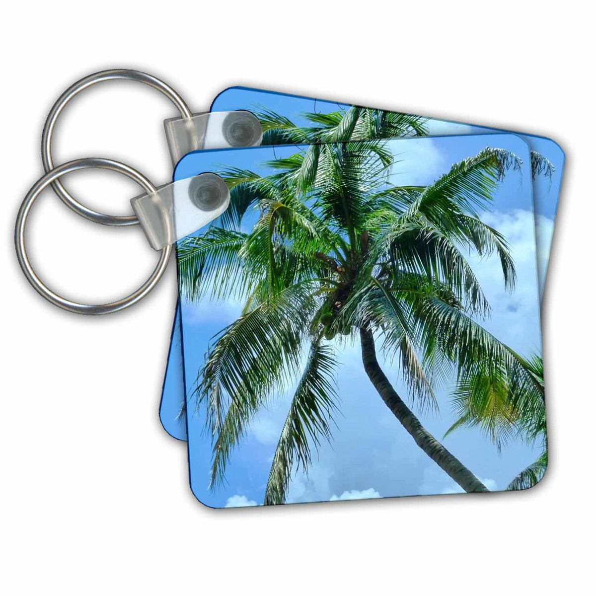 3dRose Key Chains Palm Perfect (kc-20994-1)