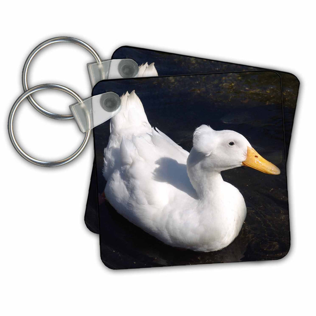 3dRose Key Chains Snowy White (kc-21009-1)