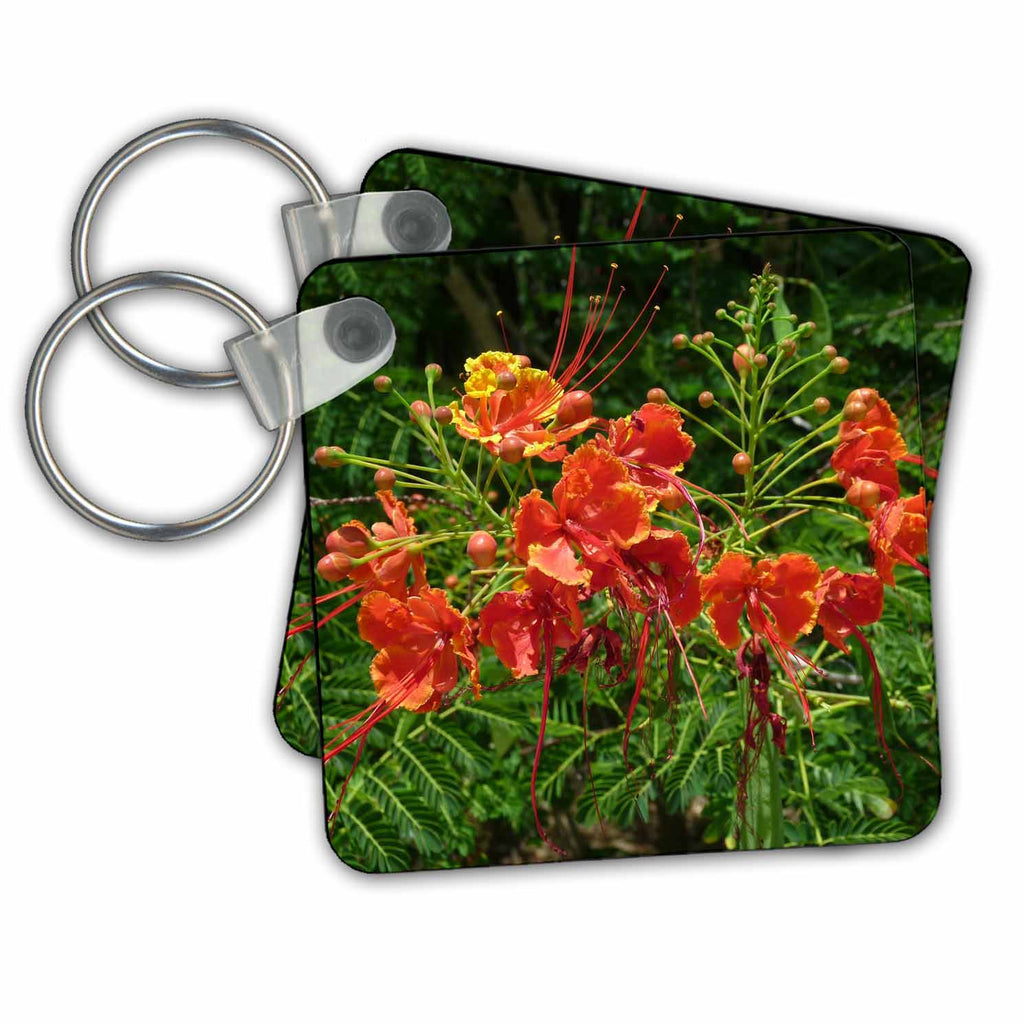 3dRose Key Chains Tropical Red (kc-21019-1)