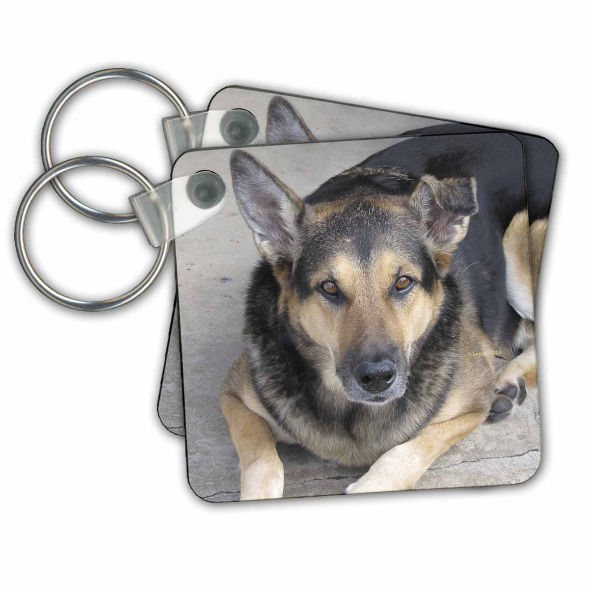 3dRose Key Chains German Shepherd (kc-21063-1)