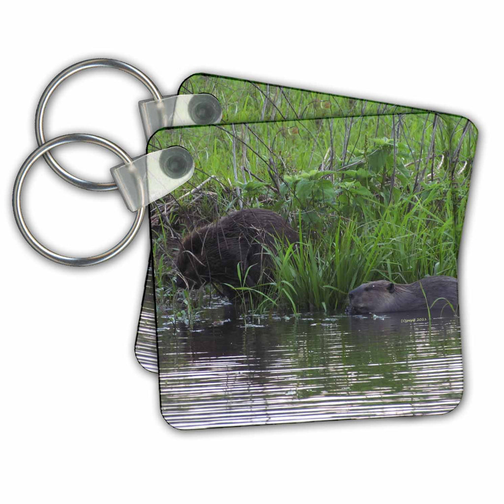 3dRose Key Chains Beaver (kc-21082-1)