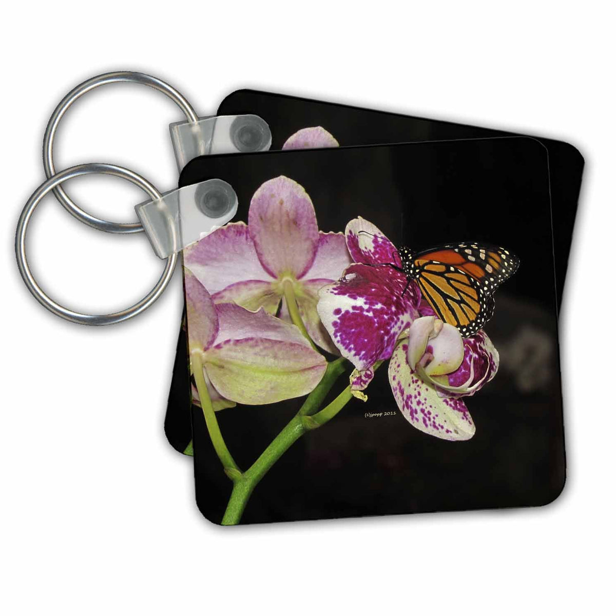 Key Chain - Monarch Nature N Wildlife butterflies