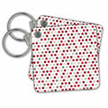 Key Chain - Red, Burgundy, Gray, and White Polka Dot Pattern Polka Dots