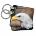 Key Chain - Bald Eagle Close Up Jr – Eagles