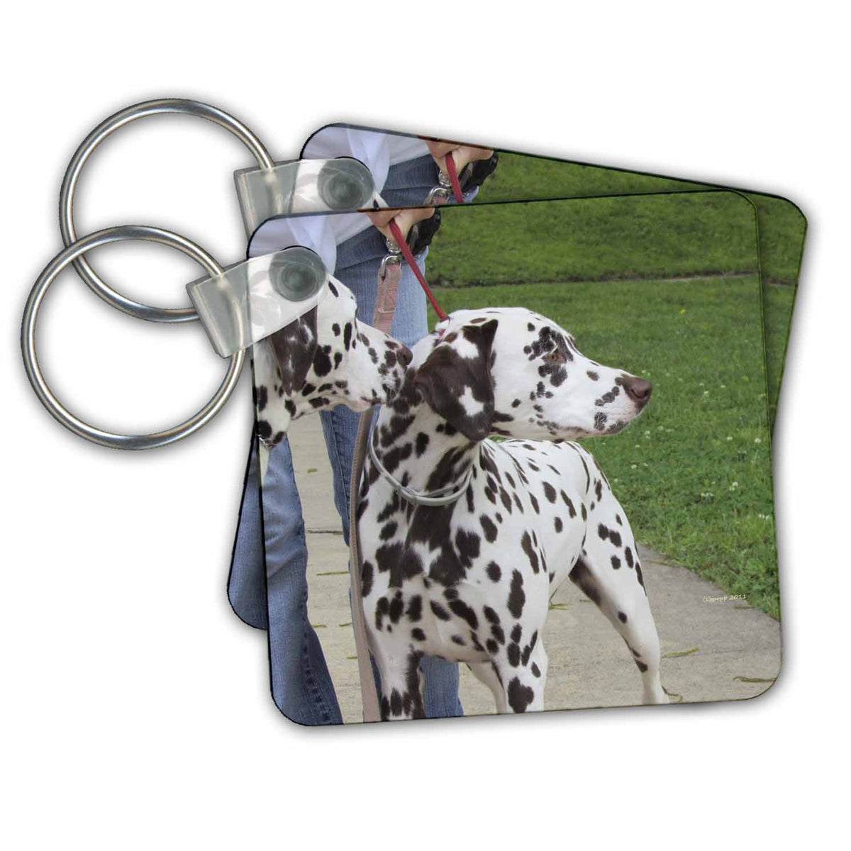 3dRose Key Chains Dalmatians (kc-21176-1)