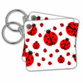 Key Chain - Image with many different sized ladybugs on white background. Designs - Illustrations