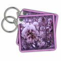 3dRose Key Chains Ice on Cherry blossoms (kc-21273-1)